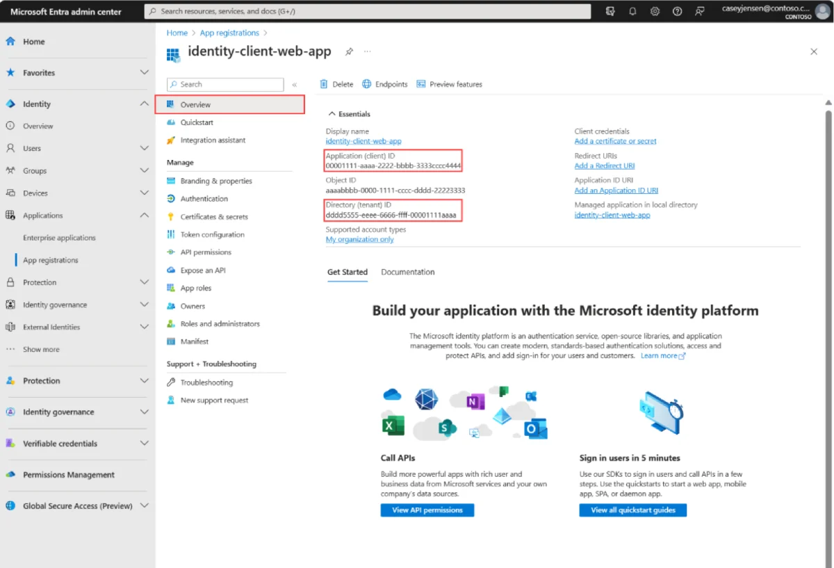 App registration Overview page with Application (client) ID and Directory (tenant) ID highlighted